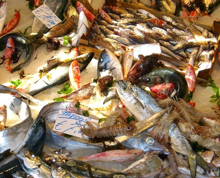 Gaetanos | restaurant | 7636 Madison St, Forest Park, IL 60130, USA | 7083664010 OR +1 708-366-4010