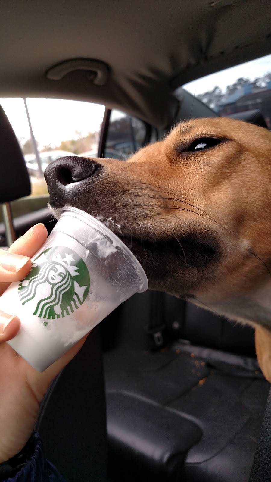 Starbucks | cafe | 1117 Savannah Hwy, Charleston, SC 29407, USA | 8433236648 OR +1 843-323-6648