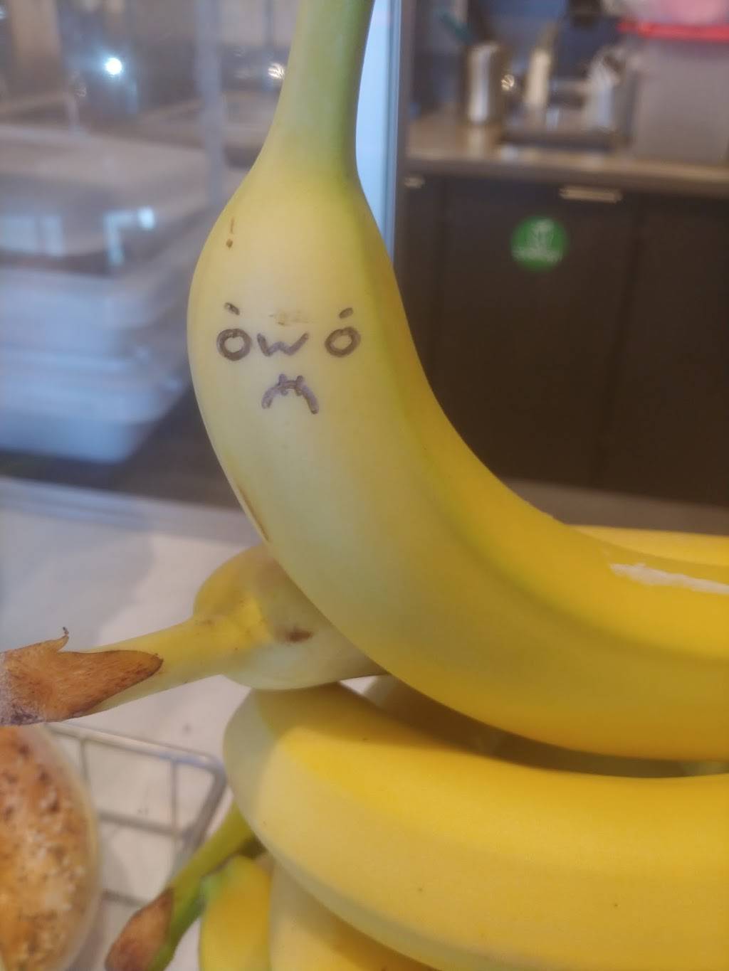 Starbucks | cafe | 475 E St, Williams, CA 95987, USA | 5304732022 OR +1 530-473-2022