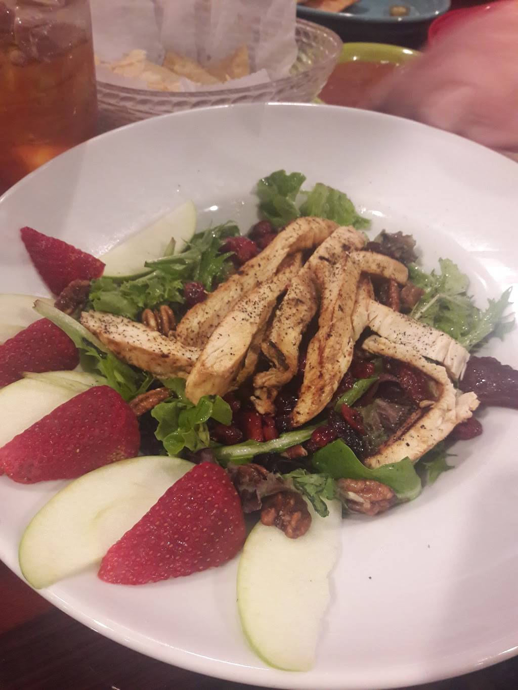 Tonys Mexican Restaurant | restaurant | 2222 Ella Blvd, Houston, TX 77008, USA | 7138626516 OR +1 713-862-6516