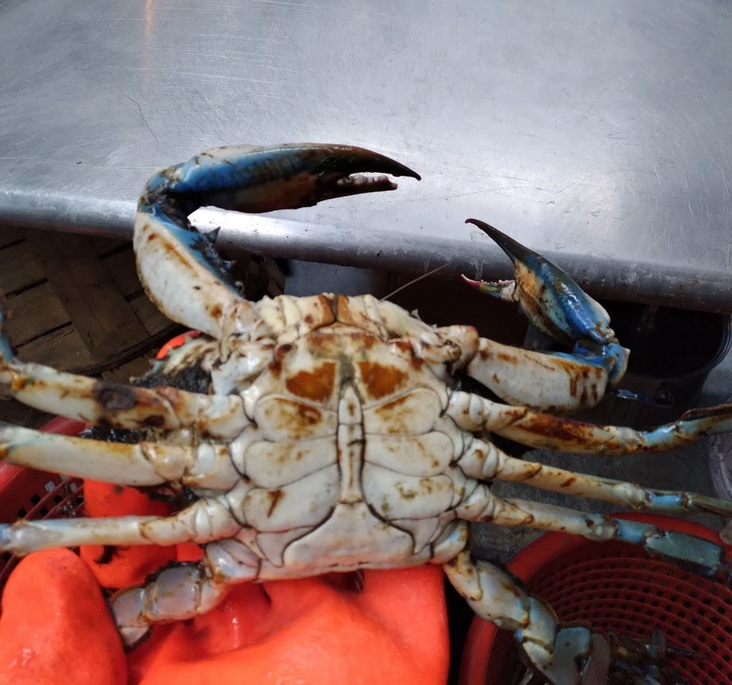 Holy Crab | restaurant | 7002 North Point Rd, Sparrows Point, MD 21219, USA | 4103991243 OR +1 410-399-1243