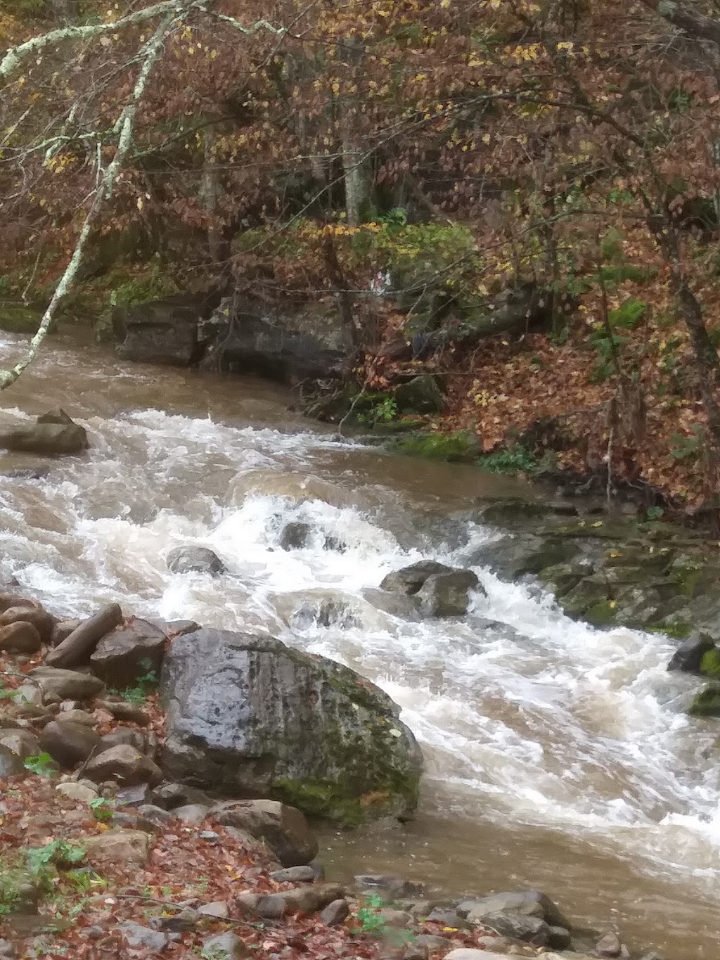 Route 66 Restaurant | meal delivery | 598 Cass Rd, Slaty Fork, WV 26291, USA | 3045722200 OR +1 304-572-2200