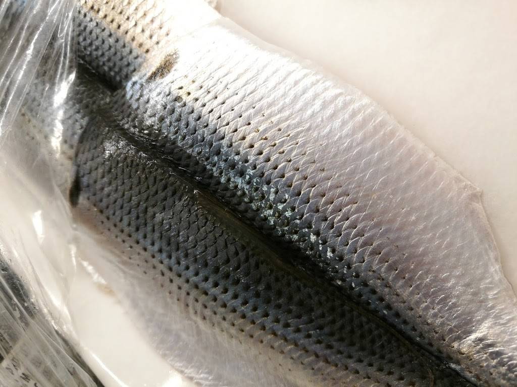 Sakana Omakase Sushi | restaurant | 616 S 2nd St, Philadelphia, PA 19147, USA | 2159222149 OR +1 215-922-2149