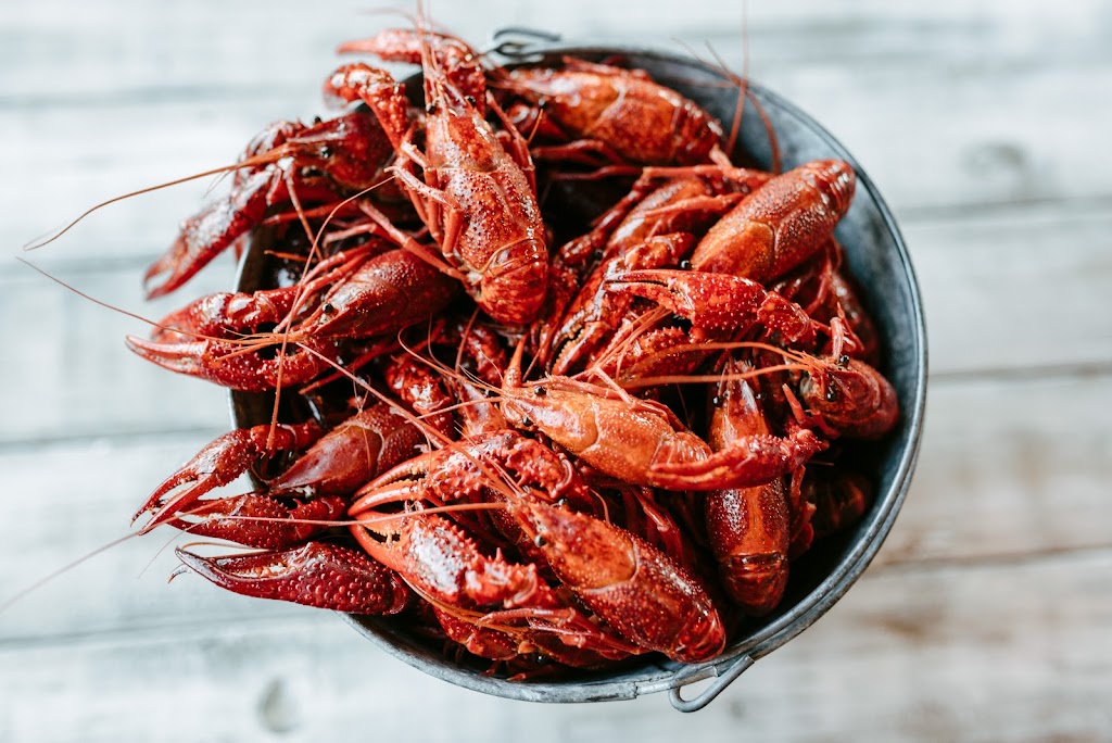 Eat My Catfish | restaurant | 2125 Harkrider St, Conway, AR 72032, USA | 5015881867 OR +1 501-588-1867