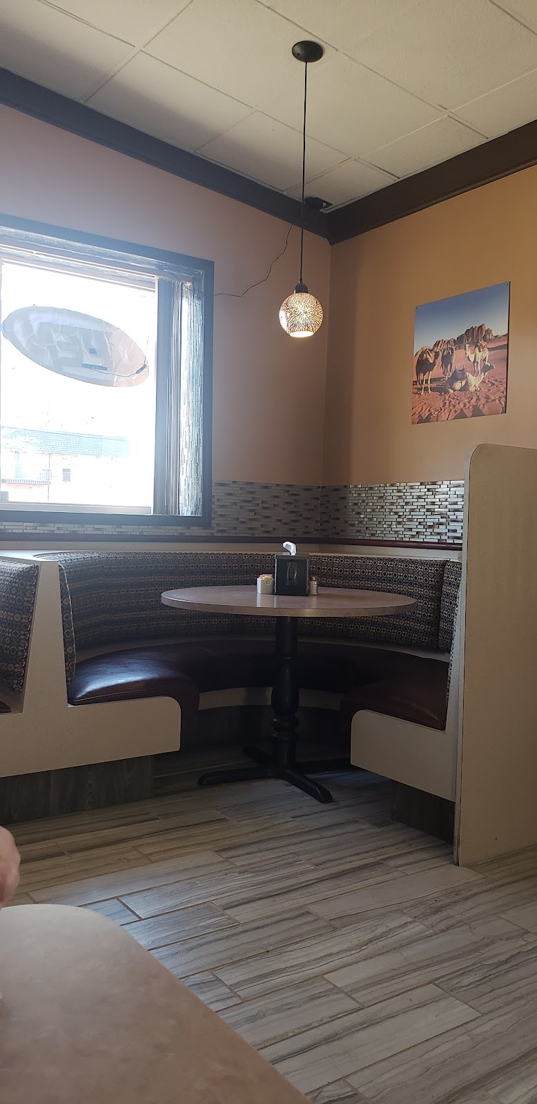 Yummy Kabob | restaurant | 28025 Hoover Rd, Warren, MI 48093, USA | 5868061066 OR +1 586-806-1066