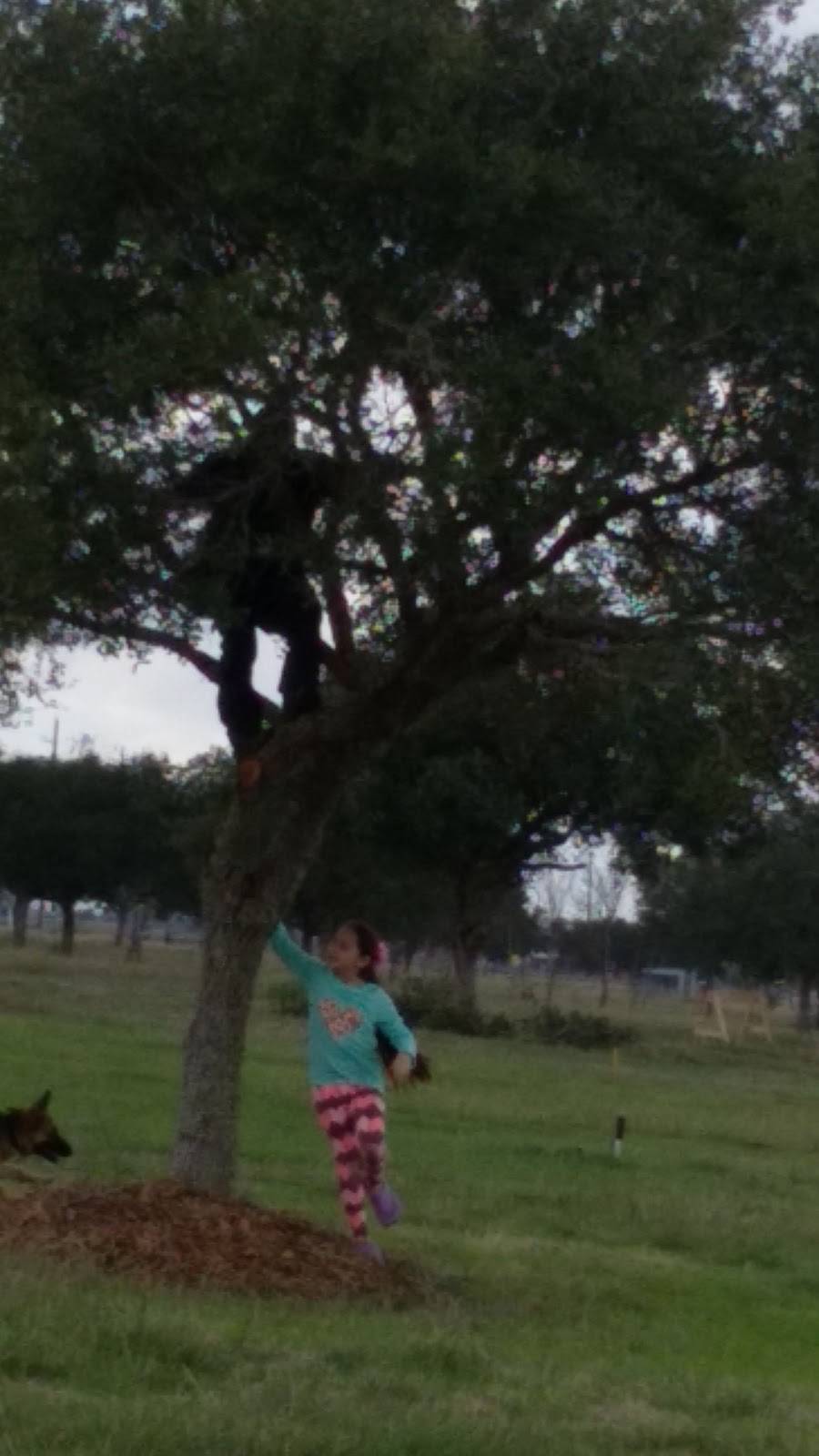 Woodburners Barbecue | restaurant | 15324 Marek Ln, Guy, TX 77444, USA | 9797933800 OR +1 979-793-3800