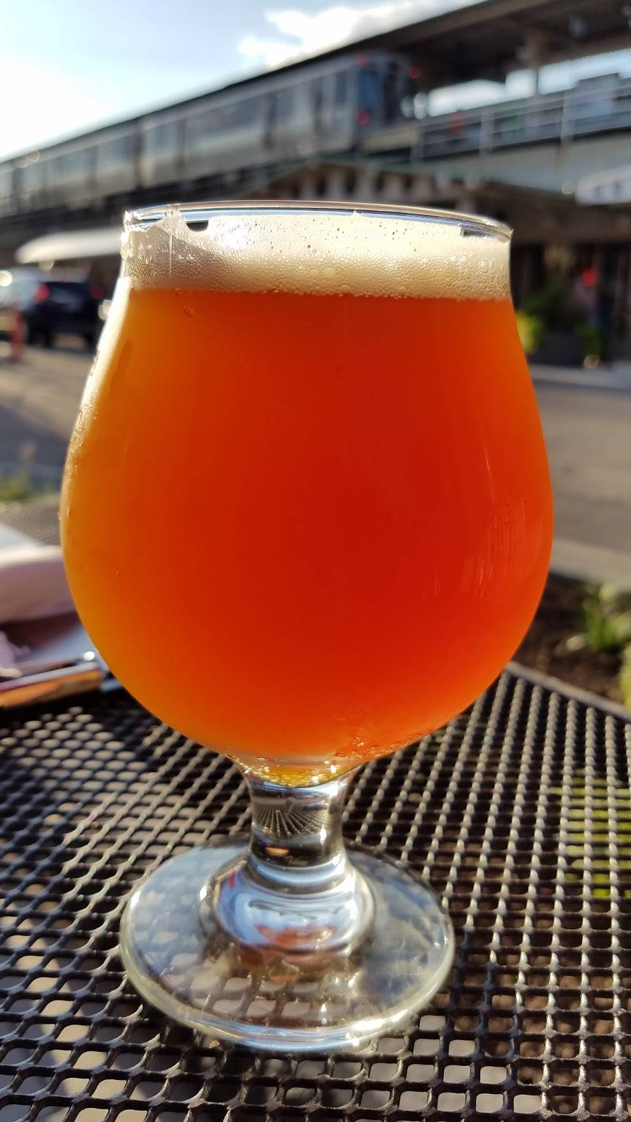 Wild Onion Tied House | restaurant | 1111 South Blvd, Oak Park, IL 60302, USA | 7086283553 OR +1 708-628-3553