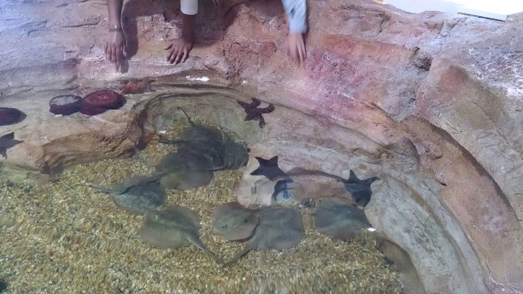 Butterfly Cafe | restaurant | 9500 East Vía de Ventura, Scottsdale, AZ 85256, USA | 4808003000 OR +1 480-800-3000