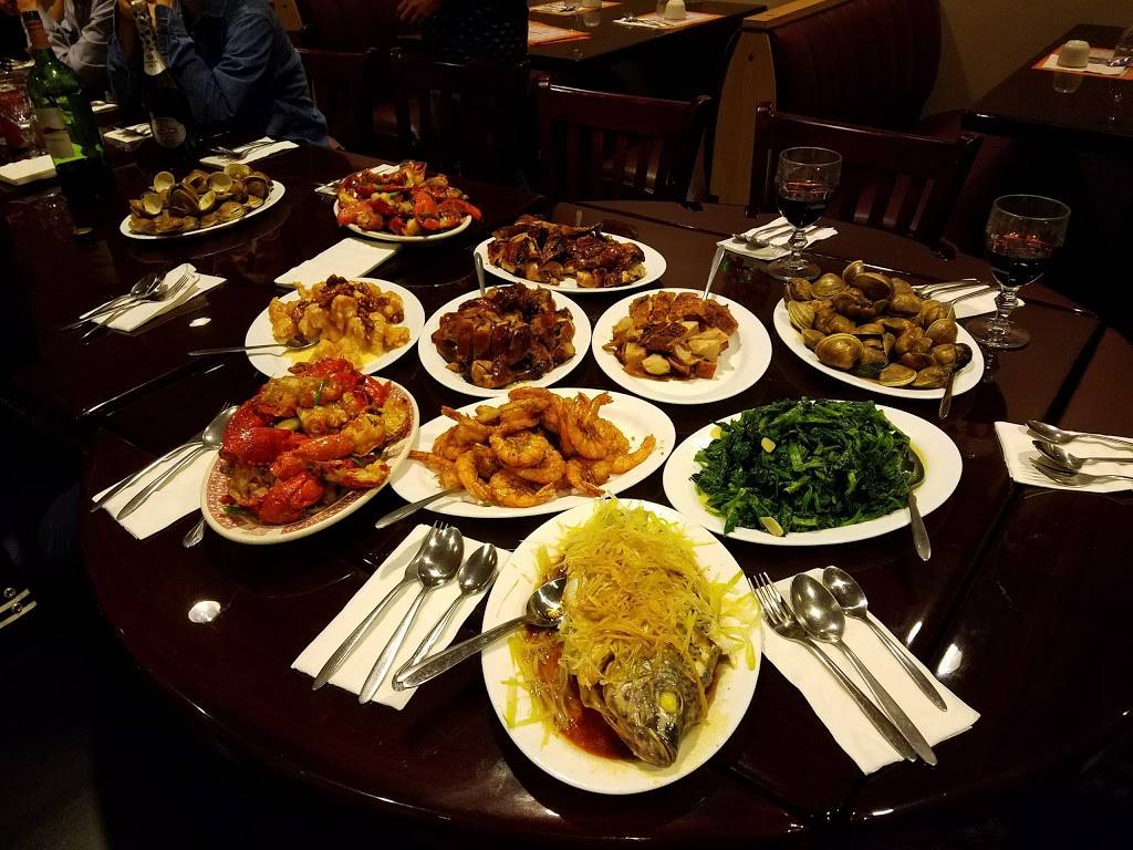South China Restaurant | restaurant | 5550 S Flamingo Rd, Cooper City, FL 33330, USA | 9544346568 OR +1 954-434-6568