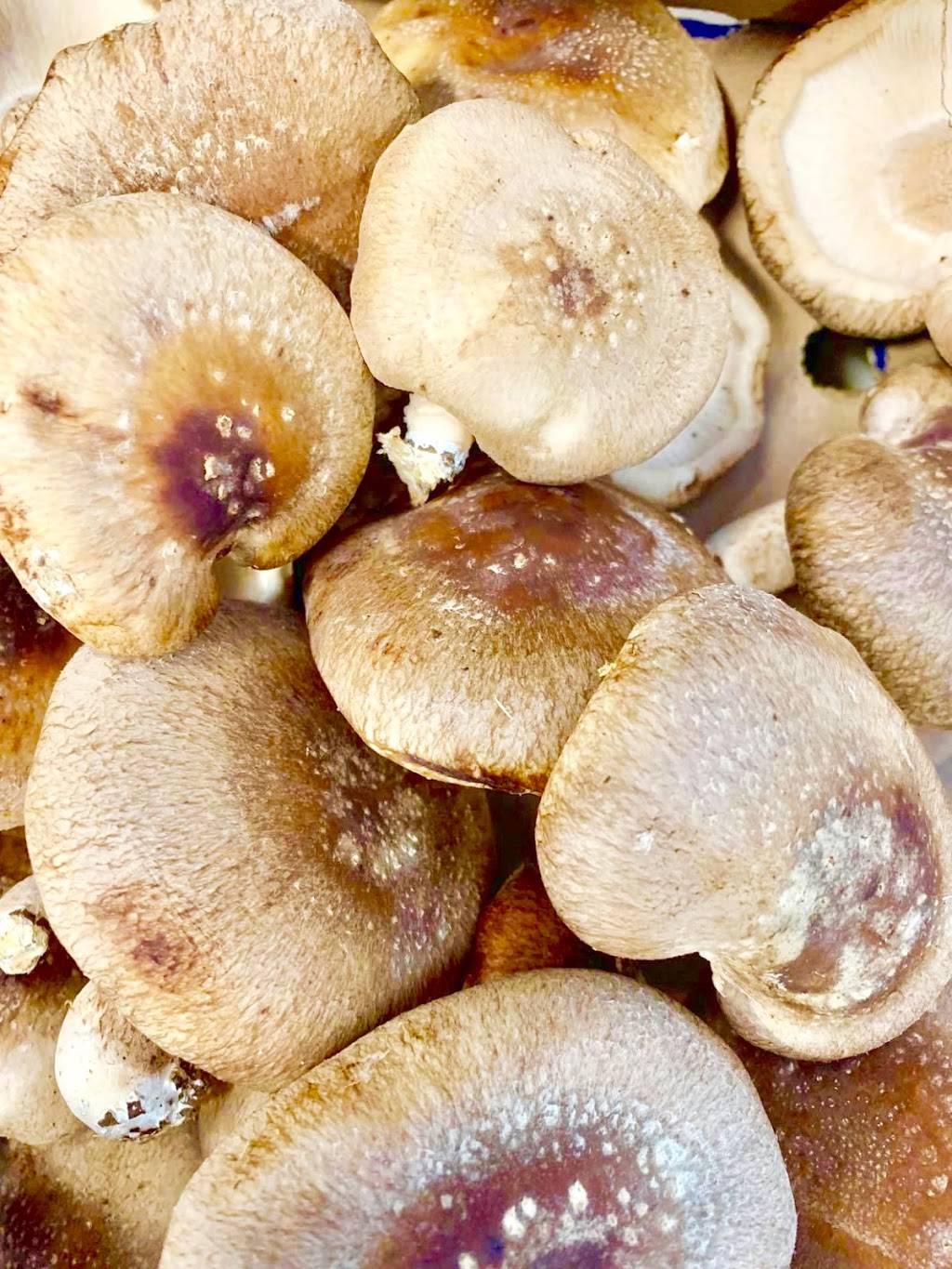 Asian Mart (Fresh vegetables, Japanese, Korean, Indian, Thai, Vi | restaurant | 60D Pearl St, Essex Junction, VT 05452, USA | 8028788802 OR +1 802-878-8802