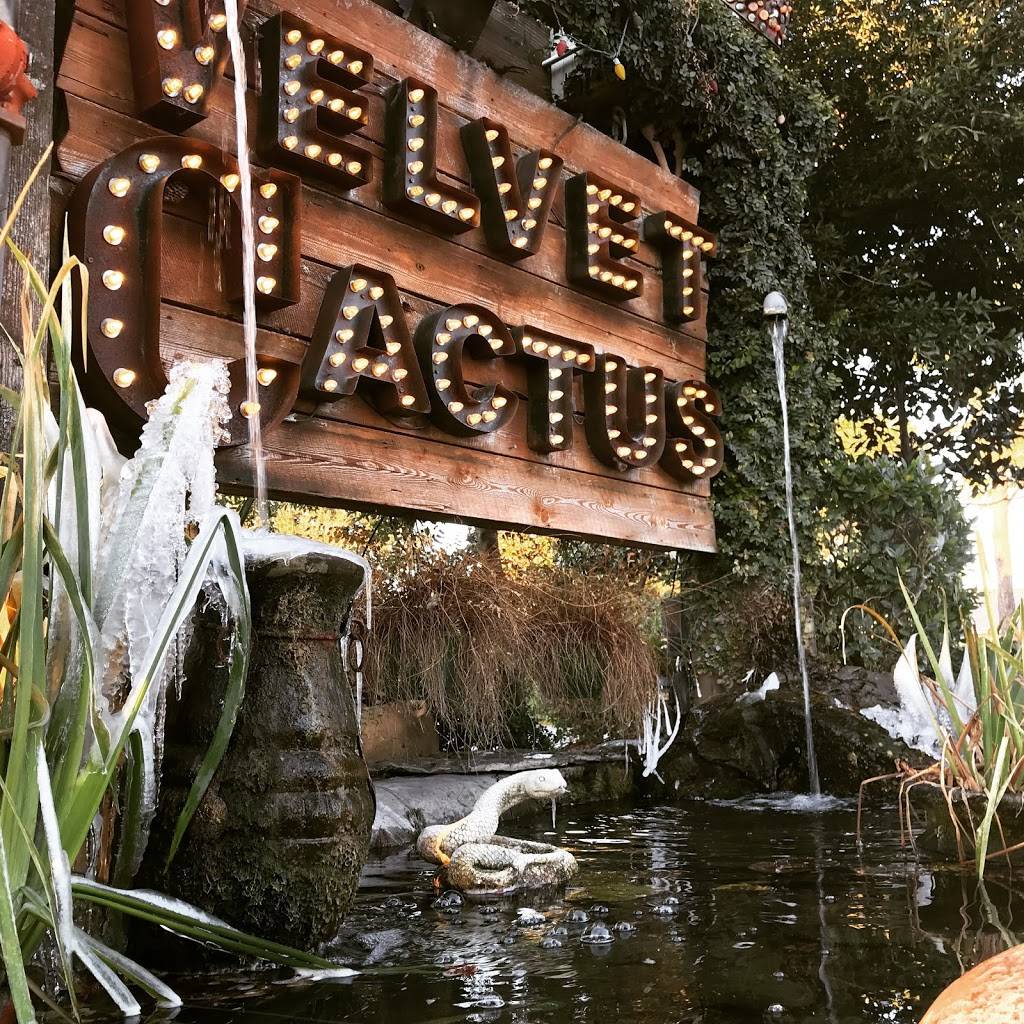 The Velvet Cactus | restaurant | 6300 Argonne Blvd, New Orleans, LA 70124, USA | 5043012083 OR +1 504-301-2083
