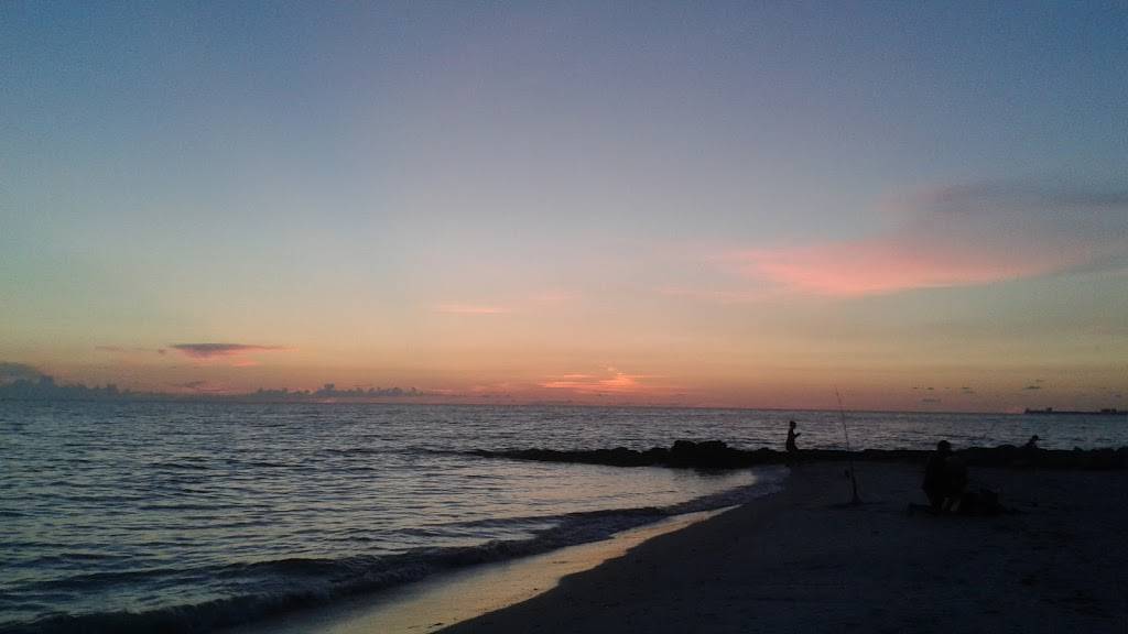 Starbucks | cafe | 6575 Central Ave, St. Petersburg, FL 33710, USA | 7273411841 OR +1 727-341-1841