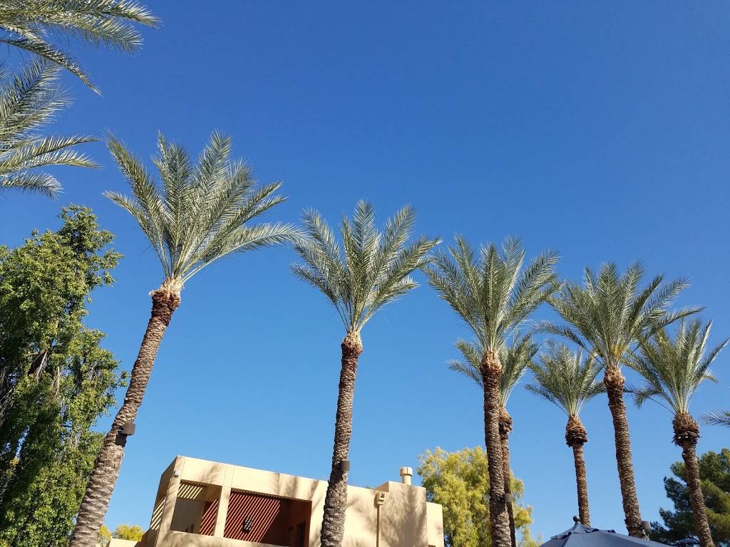 Orange Tree Golf Course | restaurant | 10601 N 56th St, Scottsdale, AZ 85254, USA | 4809483730 OR +1 480-948-3730