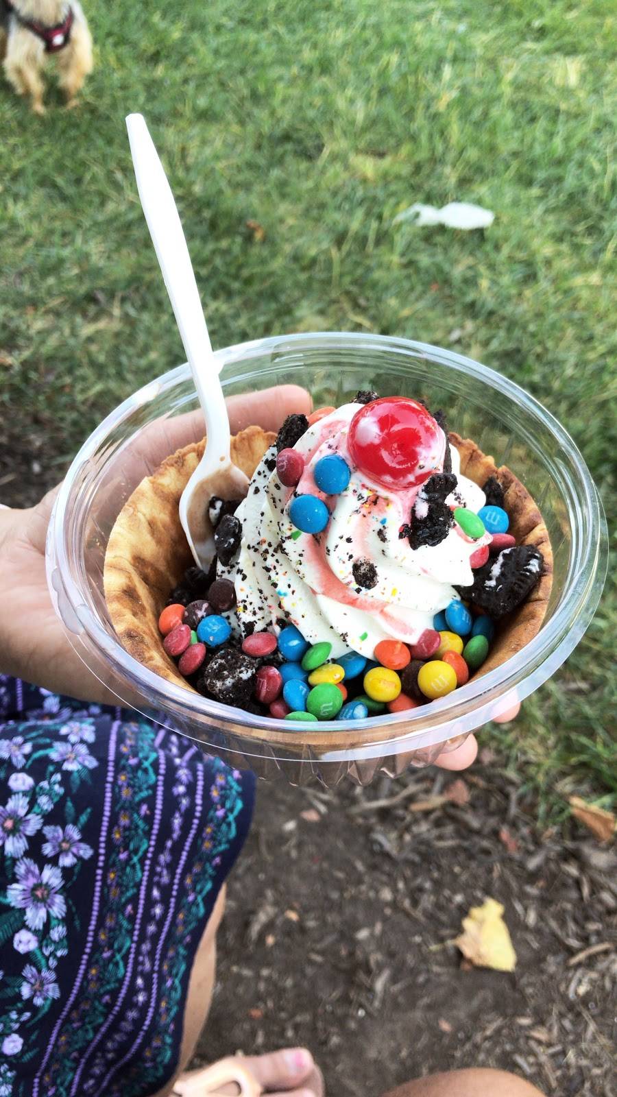 Ritas Italian Ice & Frozen Custard | restaurant | 2033 Eastern Ave, Baltimore, MD 21231, USA | 4107322663 OR +1 410-732-2663