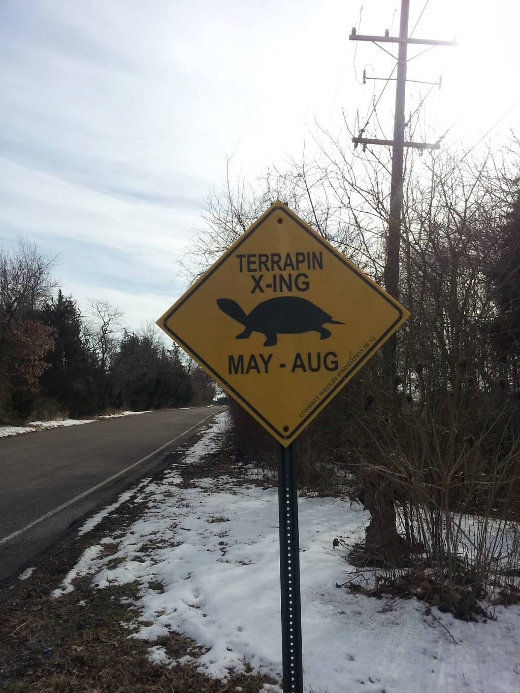 Ocean County Golf Course at Atlantis | restaurant | 261 Country Club Blvd, Little Egg Harbor Township, NJ 08087, USA | 6092962444 OR +1 609-296-2444