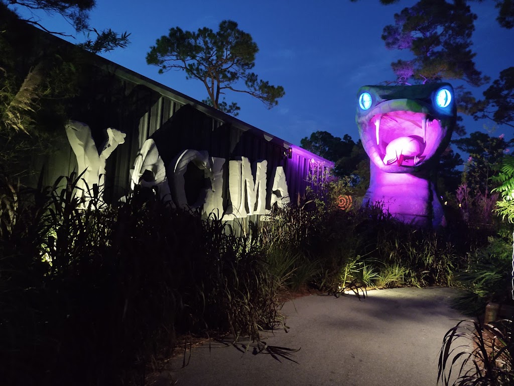 Swampy Jacks Wongo Adventure | restaurant | 284 Powell Adams Rd, Panama City Beach, FL 32413, USA | 8502349973 OR +1 850-234-9973