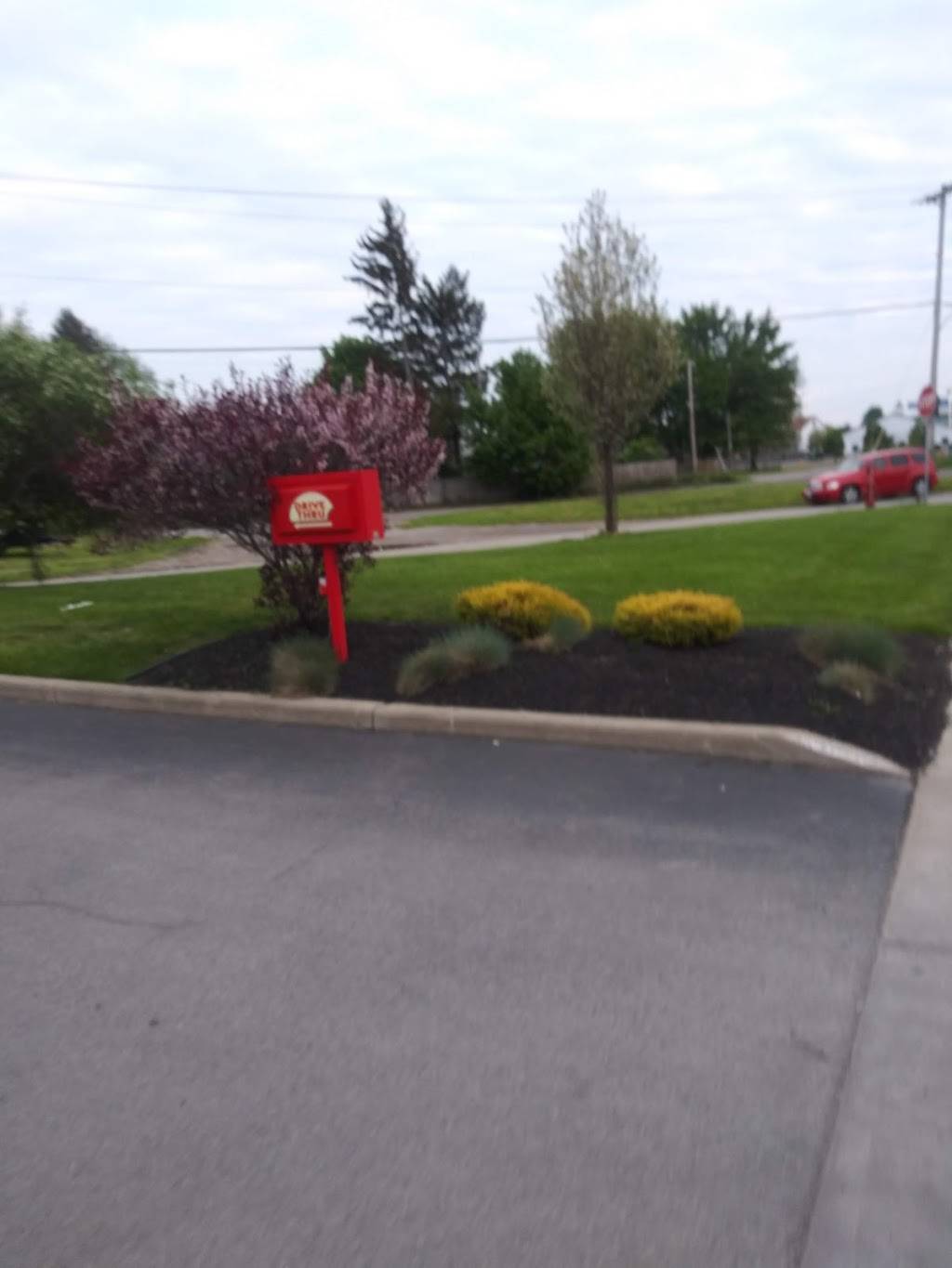 Mighty Taco | restaurant | 1039 McKinley Pkwy, Buffalo, NY 14220, USA | 7162409856 OR +1 716-240-9856