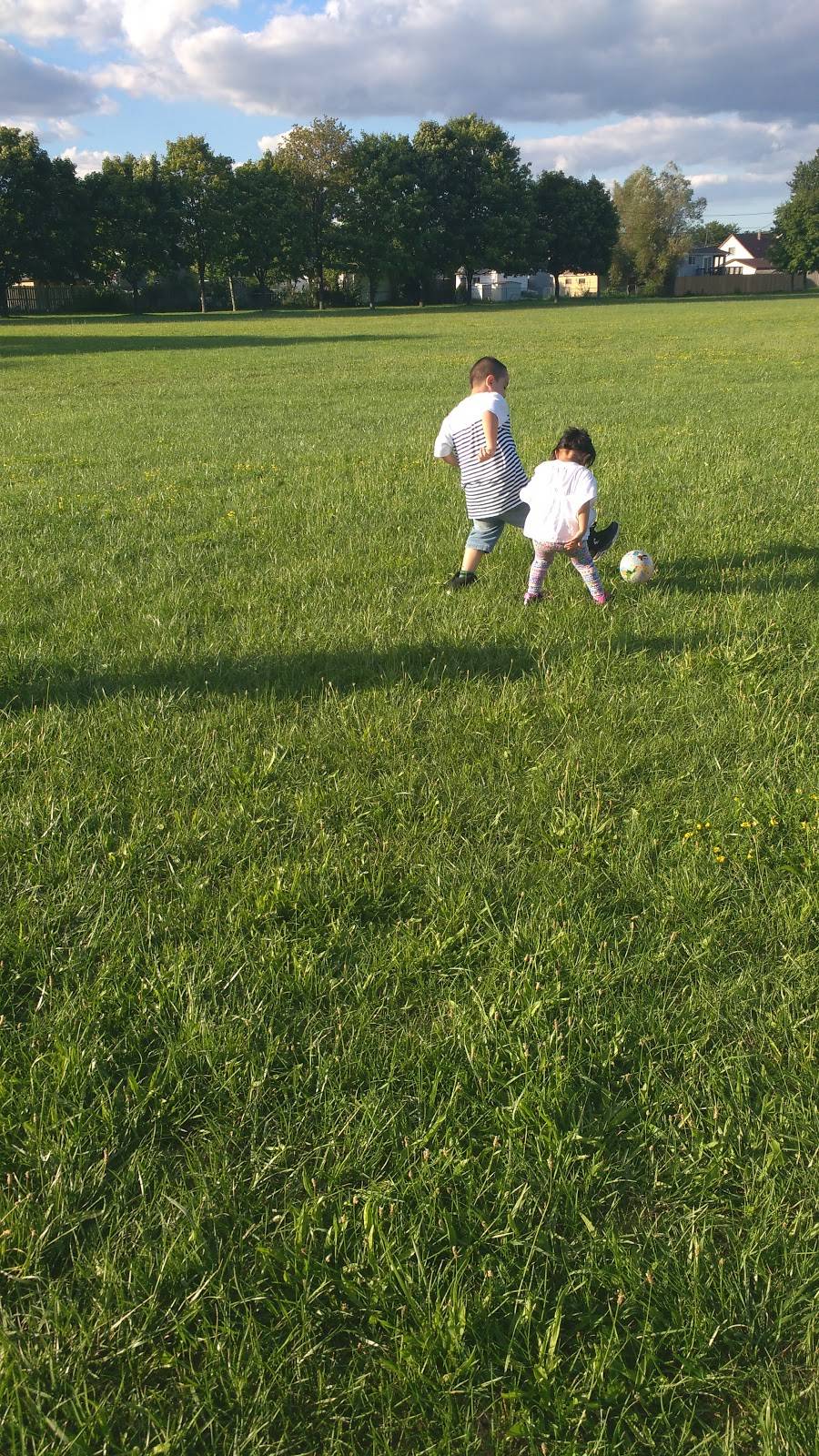 Remington Booster Pool | restaurant | 701 Edinborough St, Windsor, ON N8X 5E9, Canada | 5192556465 OR +1 519-255-6465