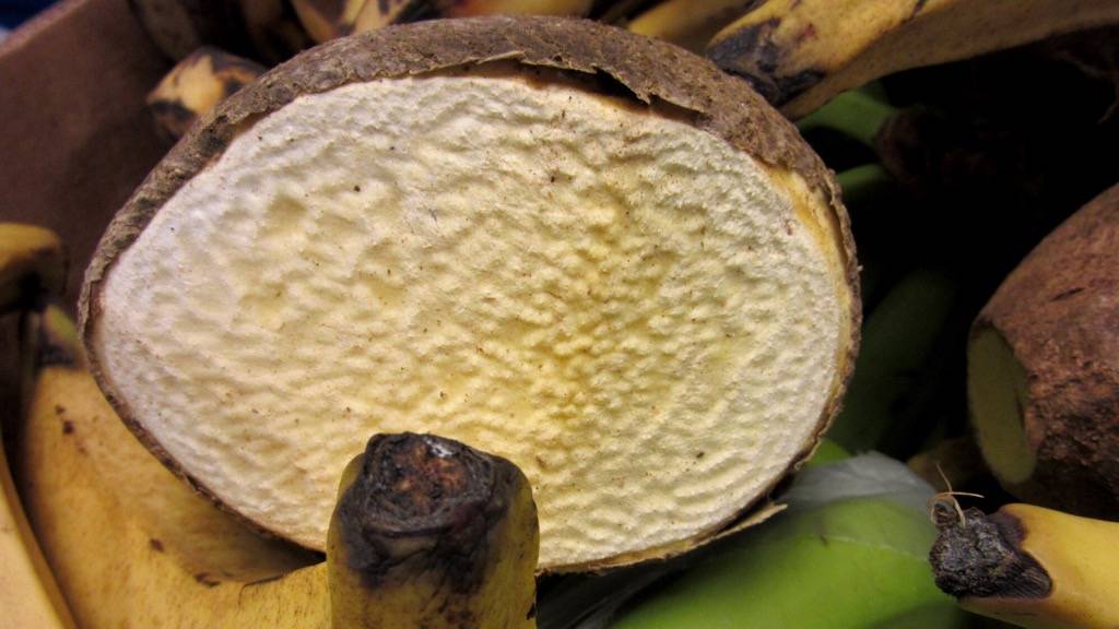 Soup Up | restaurant | 709 Kennedy St NW, Washington, DC 20011, USA | 2026216845 OR +1 202-621-6845