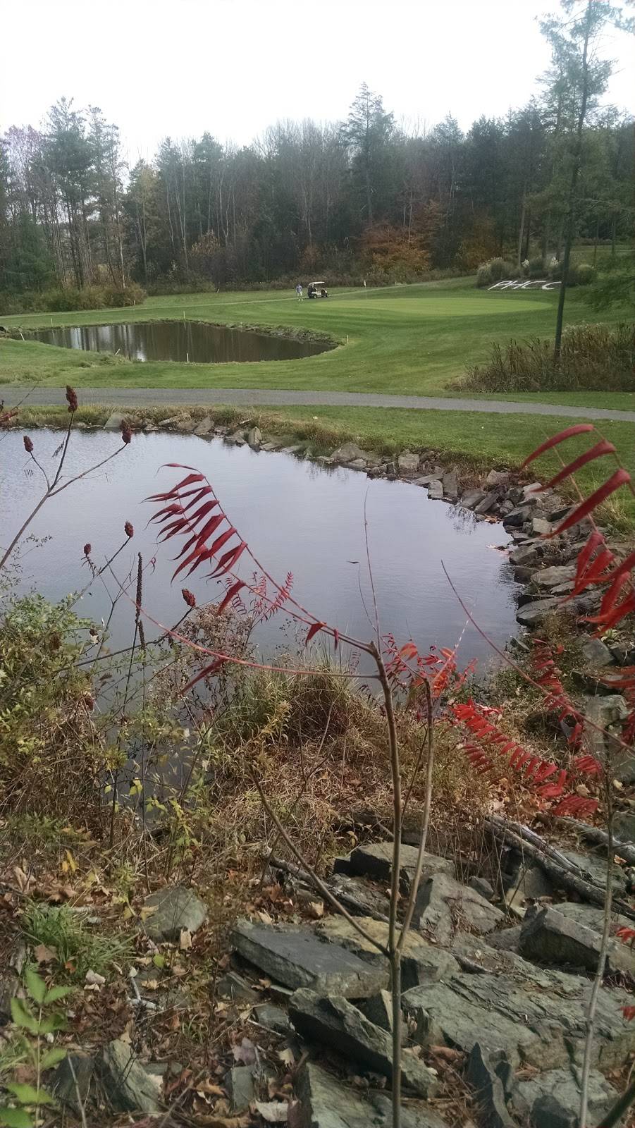 Pheasant Hill Country Club | restaurant | 2771 Waits Rd #6333, Owego, NY 13827, USA | 6076870722 OR +1 607-687-0722