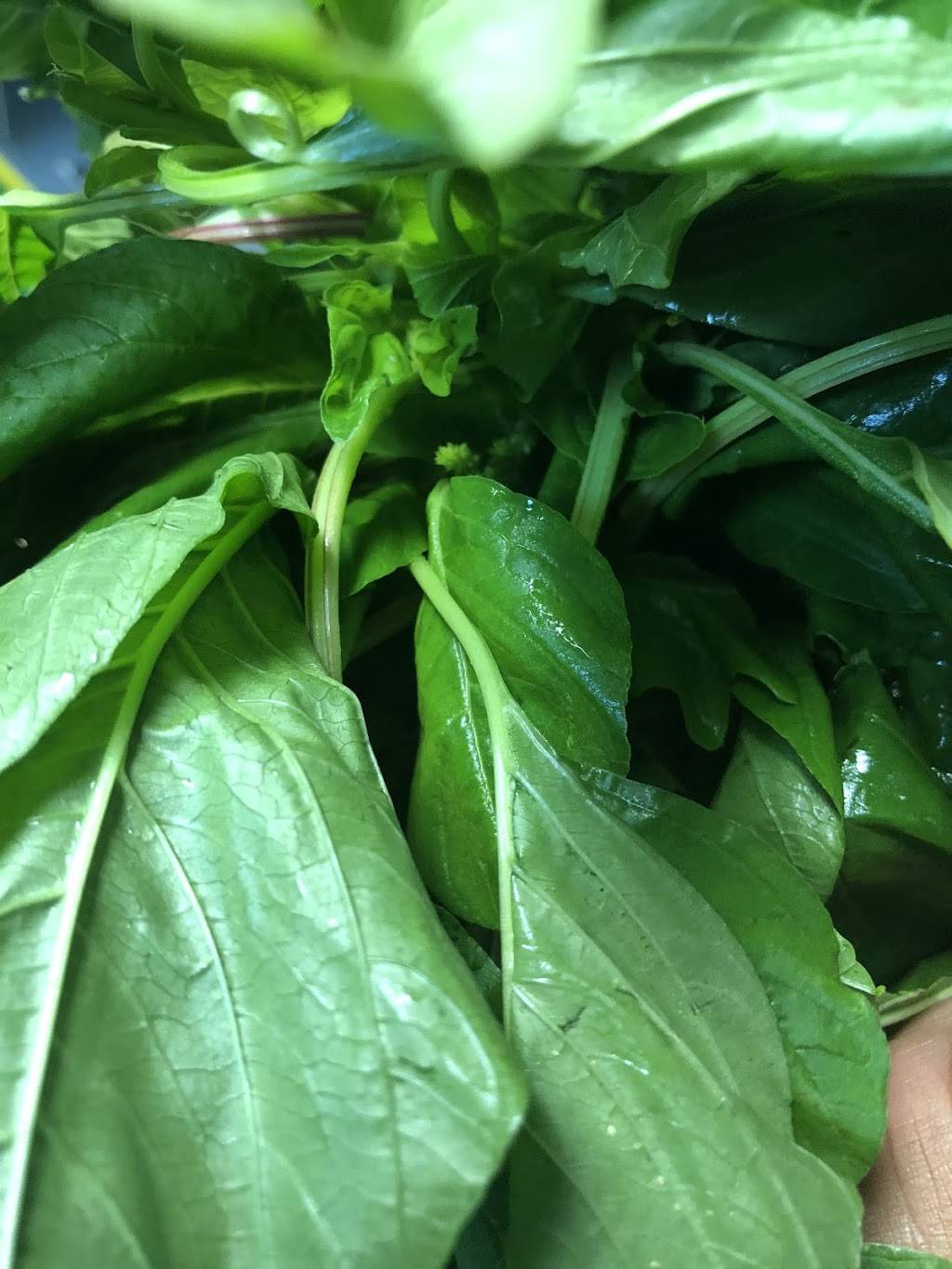 Lady P Jamaican Jerk Restaurant | restaurant | 1696 SE Port St Lucie Blvd, Port St. Lucie, FL 34952, USA | 7726266721 OR +1 772-626-6721