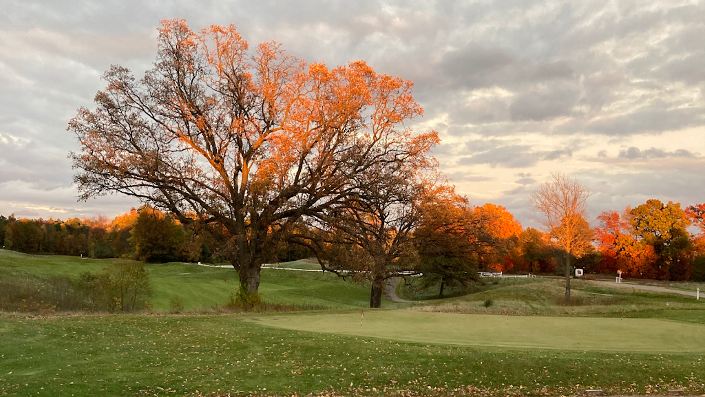 Timber Trace Golf Club | restaurant | 1 Champions Circle, Pinckney, MI 48169, USA | 7348781800 OR +1 734-878-1800