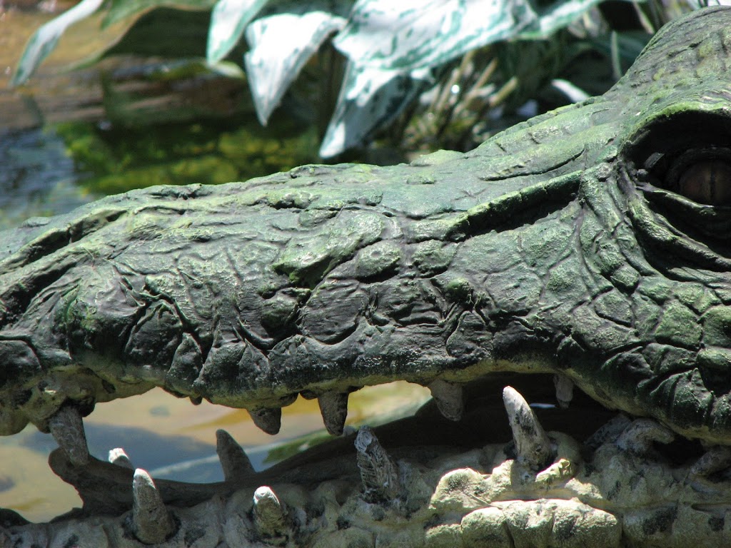 Rainforest River Adventure Ride | restaurant | 3001 53rd St, Galveston, TX 77551, USA | 4097446000 OR +1 409-744-6000