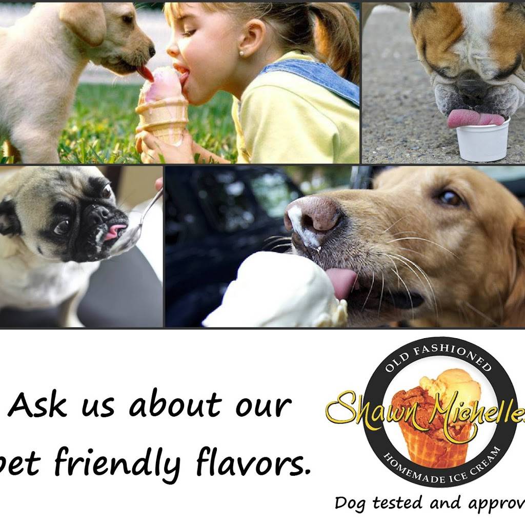 Shawn Michelles Homemade Ice Cream | restaurant | 3343 N Broadway, Chicago, IL 60657, USA | 3128576102 OR +1 312-857-6102