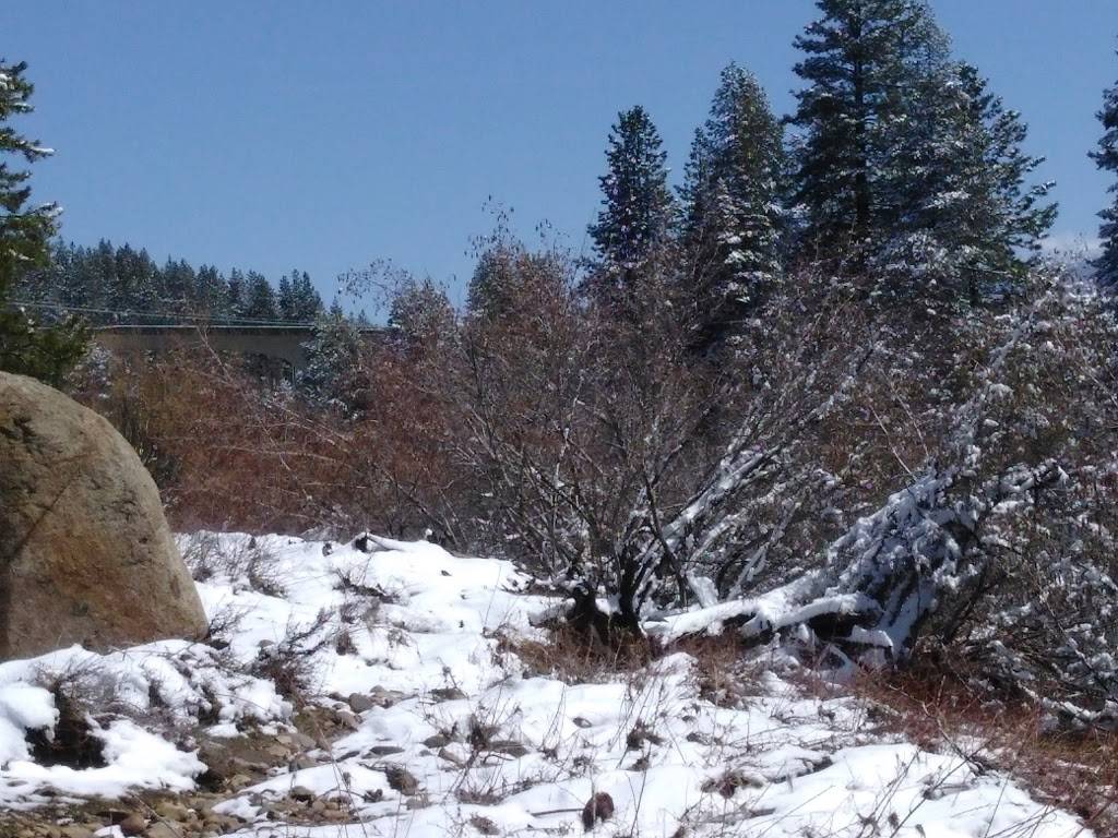 Pillulles Taquizas Mexicanas en Truckee CA, Renta de Brinca Brin | restaurant | 11223 Village Way, Truckee, CA 96161, USA | 5302086459 OR +1 530-208-6459