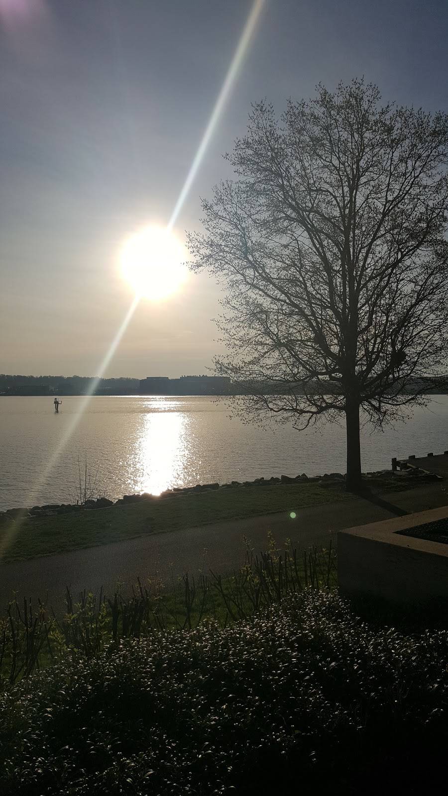 Woodstock Cafe | cafe | 99 Canal Center Plaza # G1, Alexandria, VA 22314, USA | 7035488999 OR +1 703-548-8999