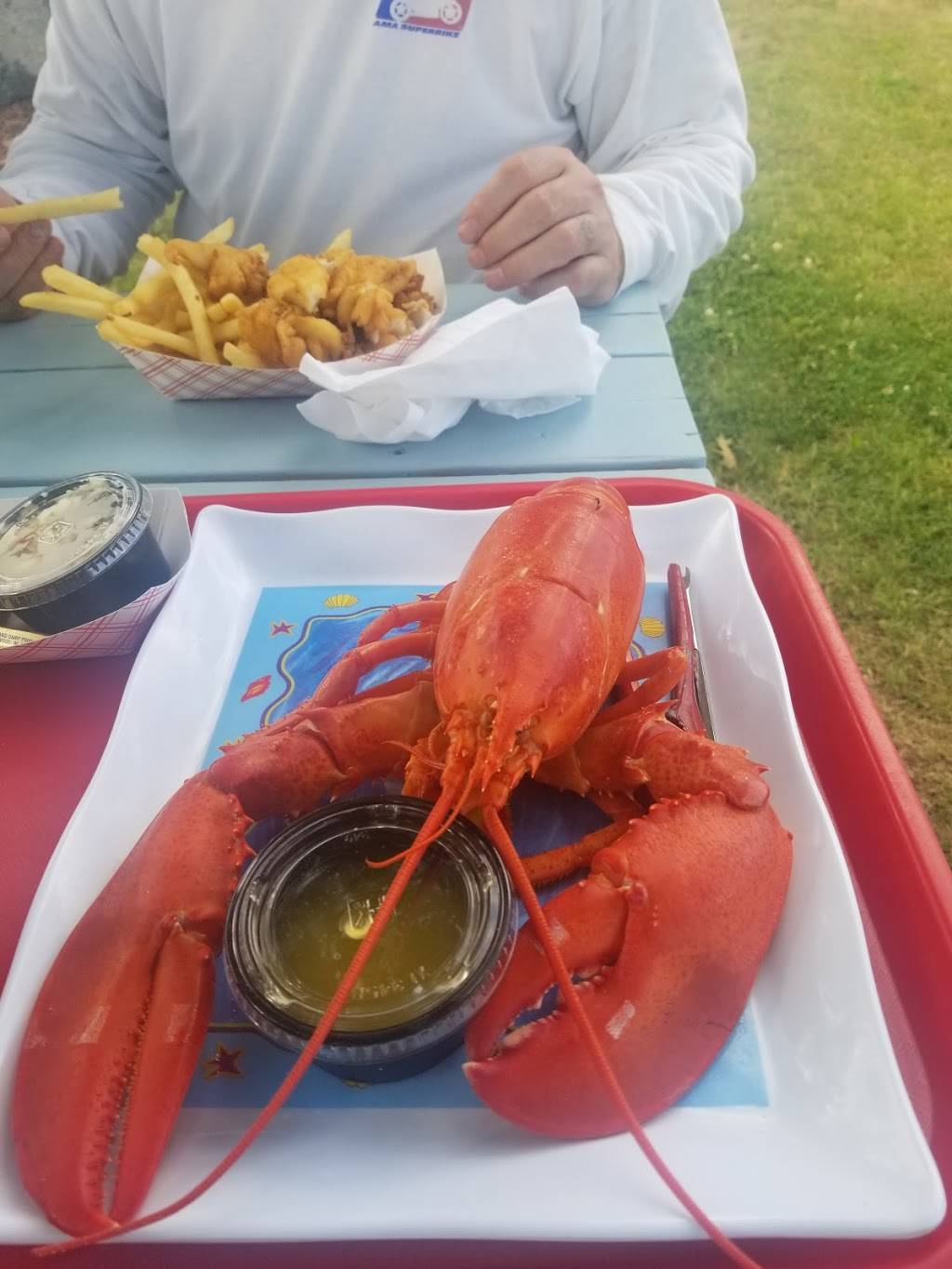 Bayview Market & Take-Out | restaurant | 28 Bayview Rd, Penobscot, ME 04476, USA | 2073264882 OR +1 207-326-4882