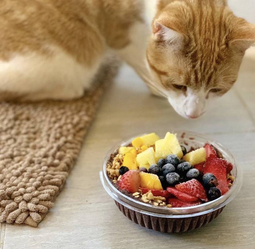 Palm Berries | restaurant | 112 South, Suite A, NC-16 Business, Denver, NC 28037, USA | 9804227631 OR +1 980-422-7631