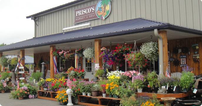 Priscos | restaurant | 8 Romney Rd, Bridgewater, MA 02324, USA | 5086972273 OR +1 508-697-2273