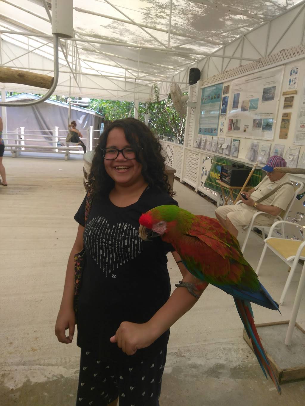 Bistro By the Sea | restaurant | 364 Cards Pond Rd, Wakefield, RI 02879, USA | 4017893030 OR +1 401-789-3030