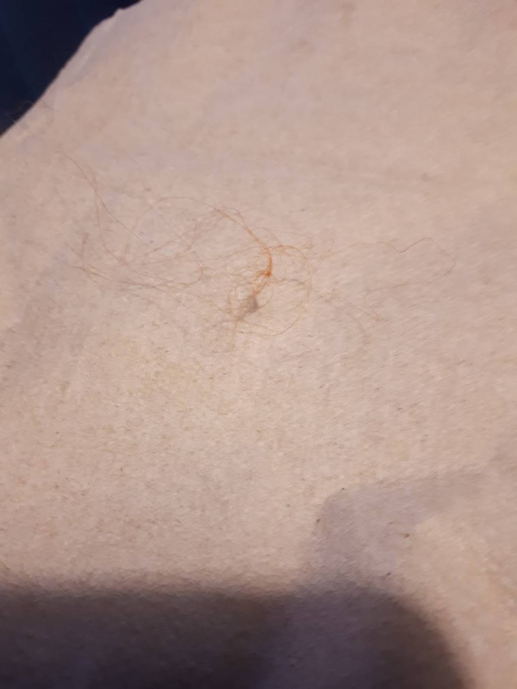 Harveys | restaurant | 2959 Boulevard des Promenades, Sainte-Marthe-sur-le-Lac, QC J0N 1P0, Canada | 4504727753 OR +1 450-472-7753