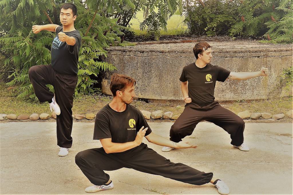 Gold Summit Kungfu Tai Chi Institute | restaurant | 255 Great Arrow Ave suite 112, Buffalo, NY 14207, USA | 7168743939 OR +1 716-874-3939