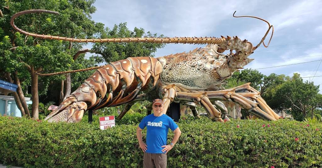 Lobster Shack | restaurant | 86700 Overseas Hwy, Islamorada, FL 33036, USA | 9542600469 OR +1 954-260-0469