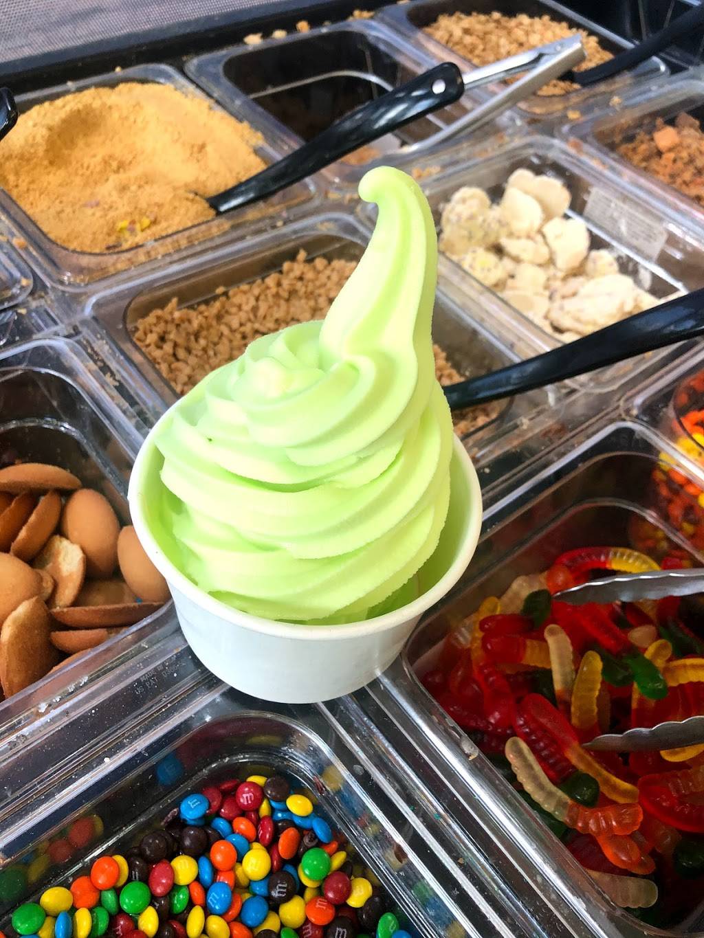 Yogurt Blendz - Frozen Treat Creations | restaurant | 431 S Main St, Rice Lake, WI 54868, USA | 7154919601 OR +1 715-491-9601