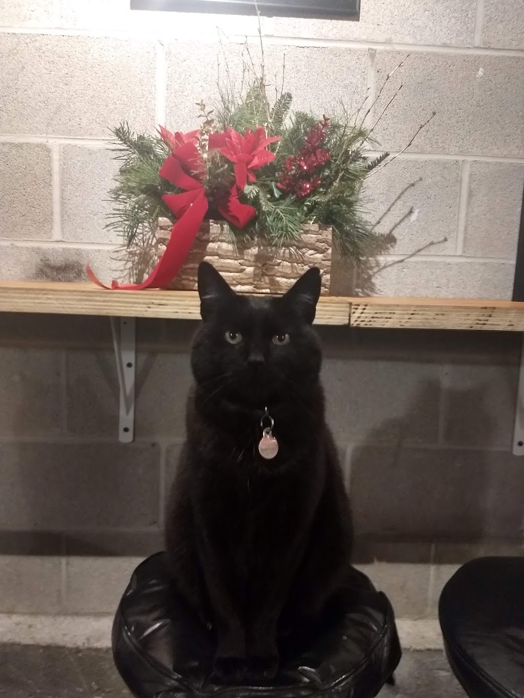 Black Pond Brews | restaurant | 1001 Hartford Pike, Dayville, CT 06241, USA | 8602075295 OR +1 860-207-5295