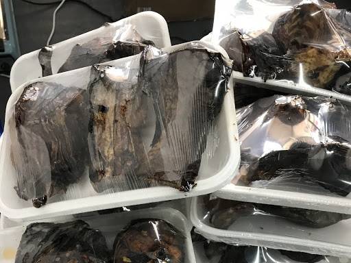 African Union Market & Takeout | meal takeaway | 831 NE Green Oaks Blvd, Arlington, TX 76006, USA | 3127889303 OR +1 312-788-9303