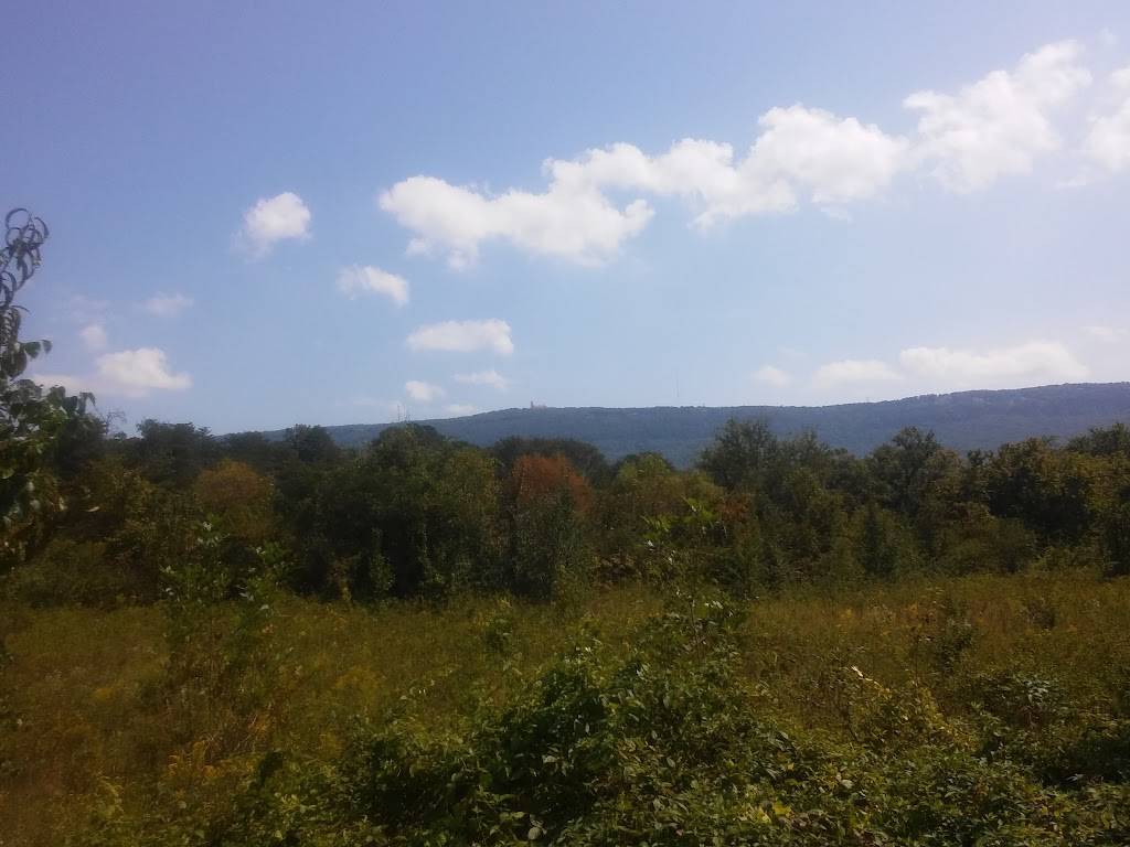 BP | restaurant | 405 GA-299, Wildwood, GA 30757, USA | 7068202005 OR +1 706-820-2005