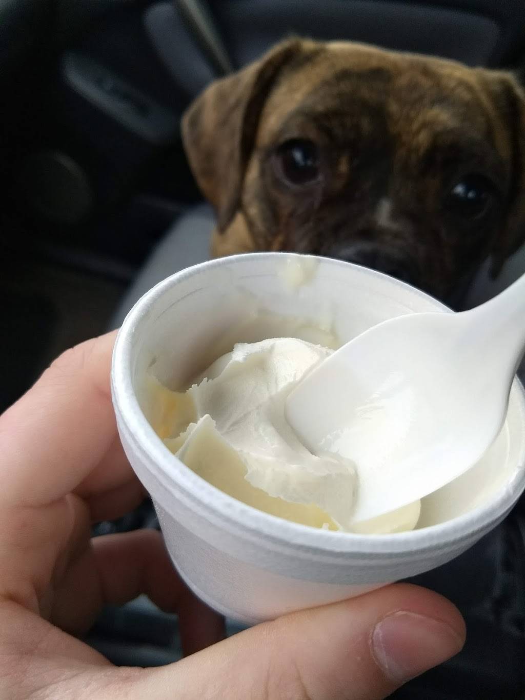 Clear Fork Dairy Belle | restaurant | 8 Main St, Bellville, OH 44813, USA | 4198863122 OR +1 419-886-3122