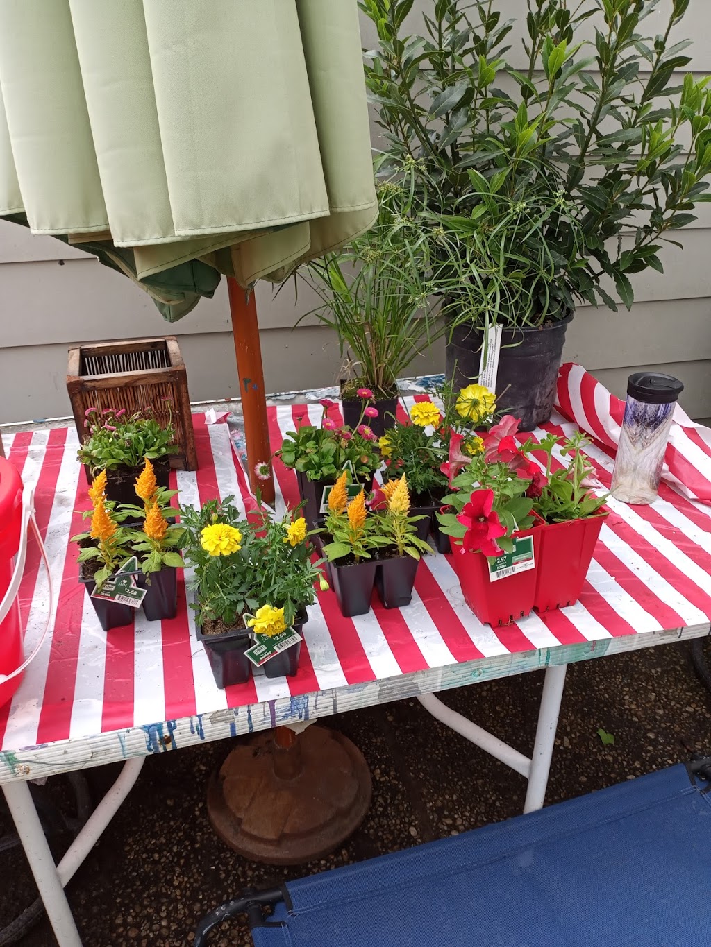 Scarborough Village | restaurant | Country Club Dr, Rehoboth Beach, DE 19971, USA | 3022277779 OR +1 302-227-7779