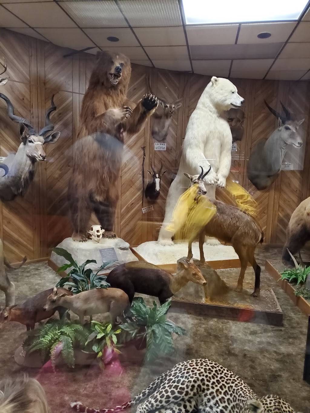 Whitlows Forerunner | restaurant | 4610 Airline Rd, Muskegon, MI 49444, USA | 2317396379 OR +1 231-739-6379