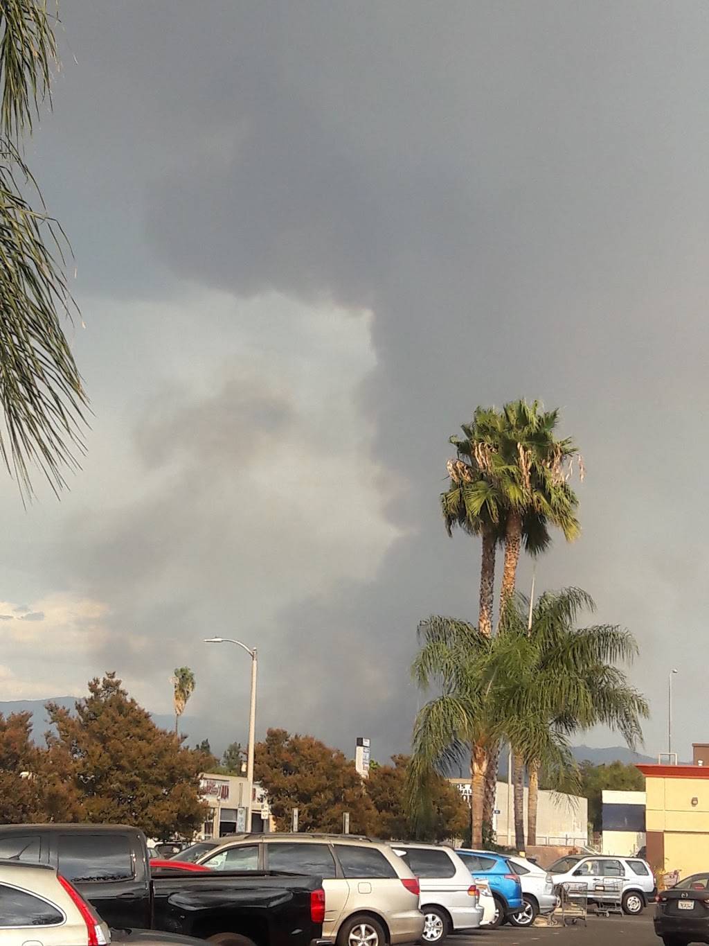 Subway Restaurants | restaurant | 7239 Van Nuys Blvd, Van Nuys, CA 91405, USA | 8187829686 OR +1 818-782-9686