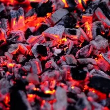 Fish & Chicken House | restaurant | 540 Paragon Mills Rd, Nashville, TN 37211, USA | 6153068282 OR +1 615-306-8282