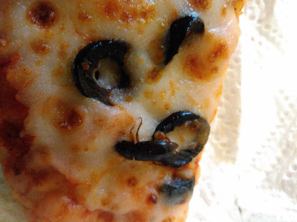 Papa Johns Pizza | restaurant | 22358 W 66th St Unit 4, Shawnee, KS 66226, USA | 9134419333 OR +1 913-441-9333