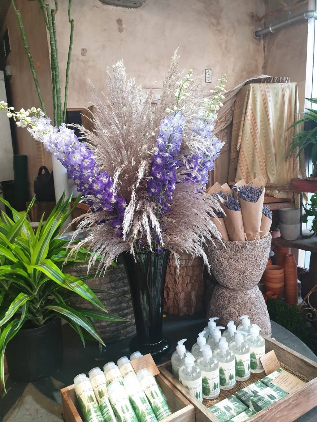 El Jefes Taqueria | restaurant | 83 Mt Auburn St, Cambridge, MA 02138, USA | 6179451986 OR +1 617-945-1986