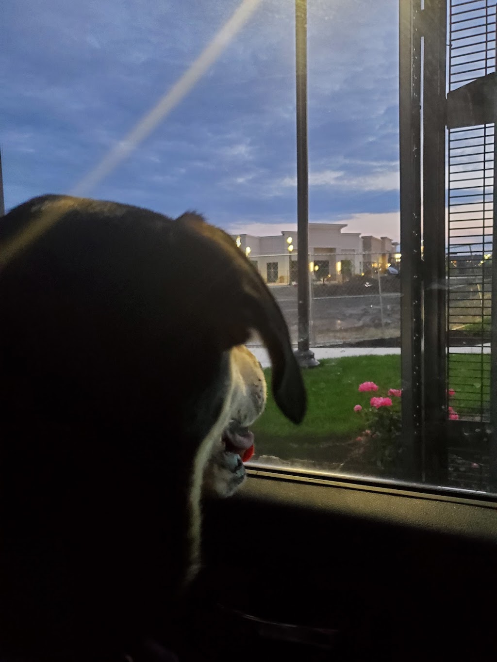 Starbucks | cafe | 1300 Christopher Pl Suite F-101, Lancaster, PA 17601, USA | 7174139043 OR +1 717-413-9043