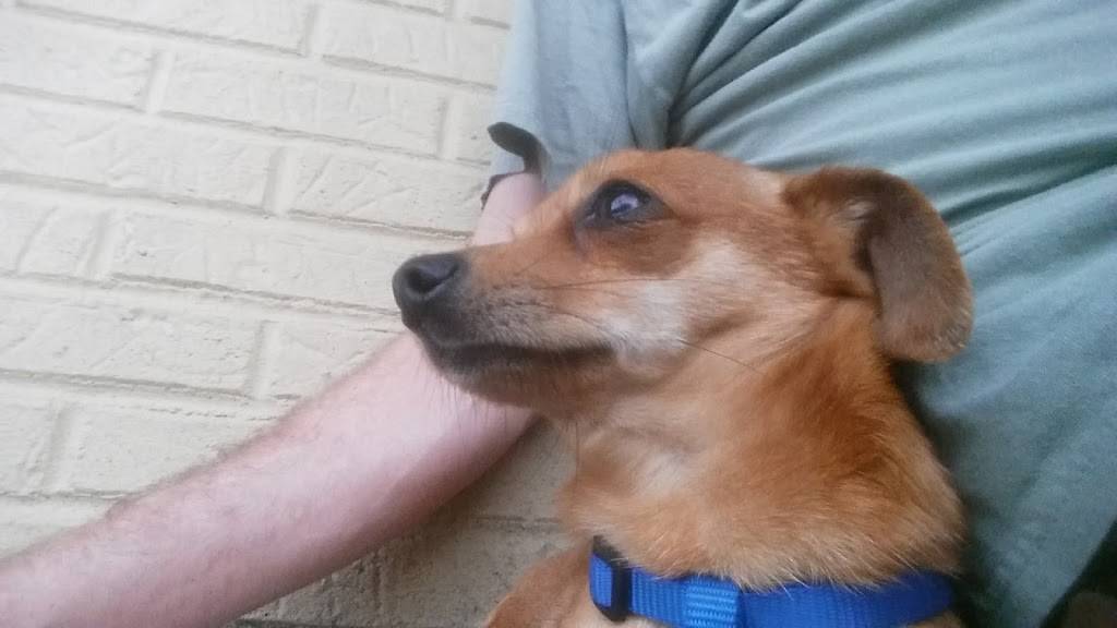 Number 1 | restaurant | 2927 Lone Oak Rd, Paducah, KY 42003, USA | 2705548800 OR +1 270-554-8800